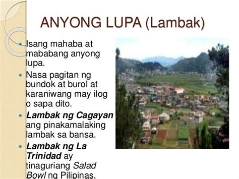 lambak meaning|LAMBAK: Definition of the Tagalog word lambak in English..